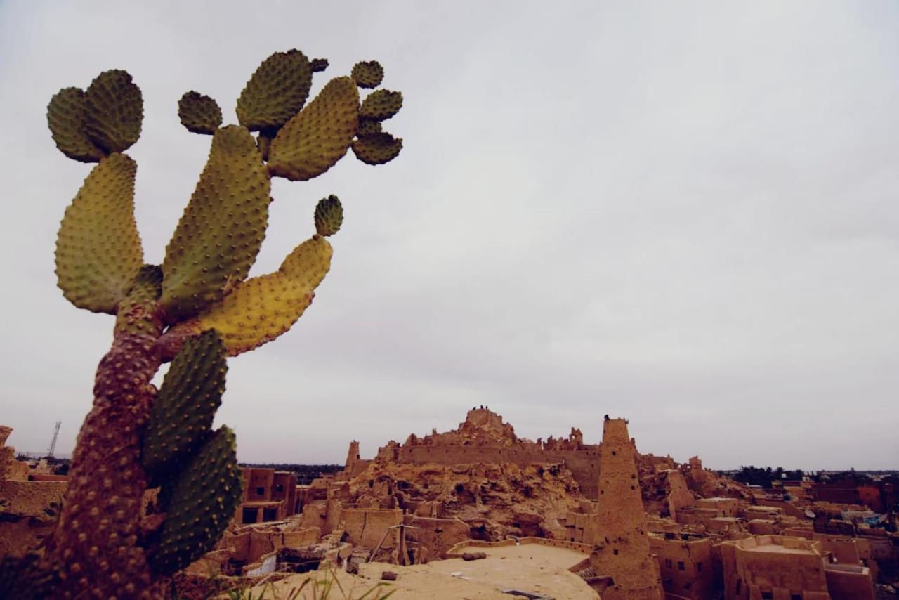 Nainshal Siwa Διαμέρισμα Siwa Oasis Εξωτερικό φωτογραφία